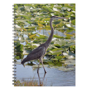 Great Blue Heron Notebook