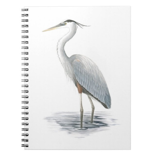Great Blue Heron Notebook (Front)
