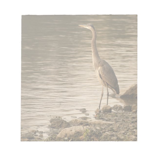 Great Blue Heron Notepad (Front)