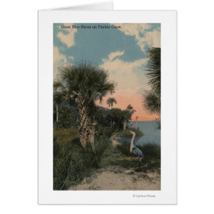 Great Blue Heron on Florida Coast Beach