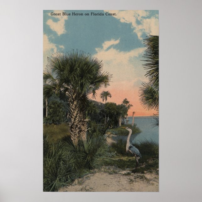 Great Blue Heron on Florida Coast Beach Poster (Front)