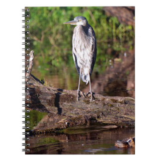 Great Blue Heron on Log Photo Notebook Journal