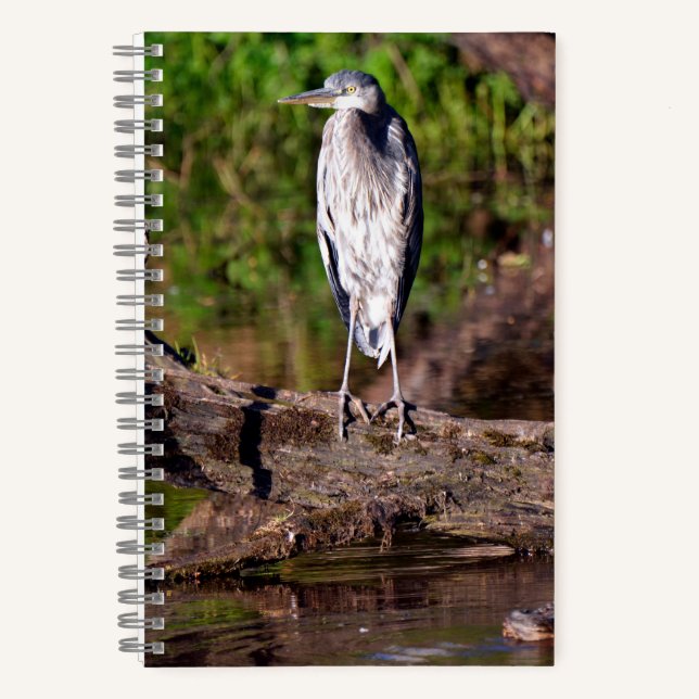 Great Blue Heron on Log Photo Notebook Journal (Front)