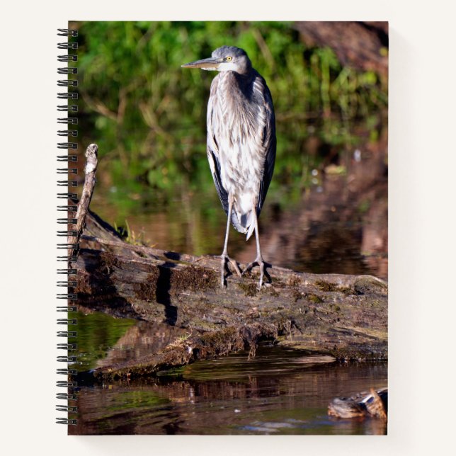 Great Blue Heron on Log Photo Notebook Journal (Front)
