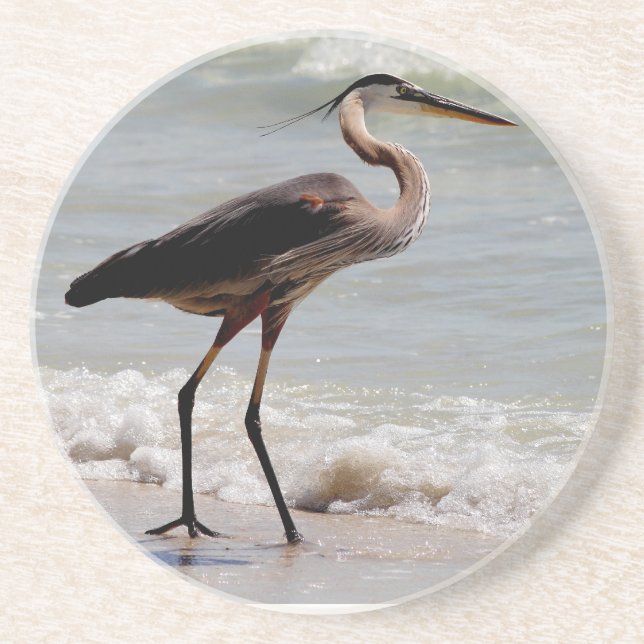 Great Blue Heron on the beach Coaster (Front)