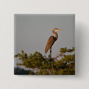 Great Blue Heron On Tree Top 15 Cm Square Badge