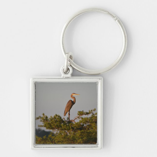 Great Blue Heron On Tree Top Key Ring (Front)