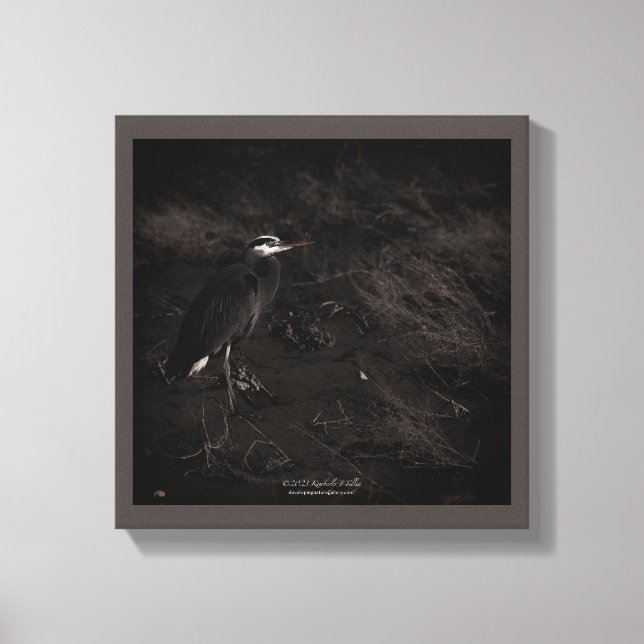 Great Blue Heron P2391 Canvas Print (Front)