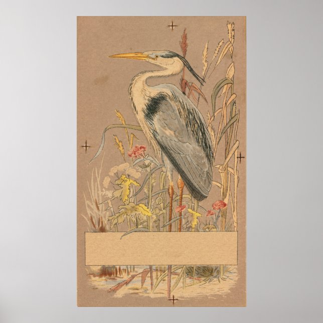 Great Blue Heron Poster (Front)