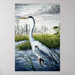Great blue heron poster