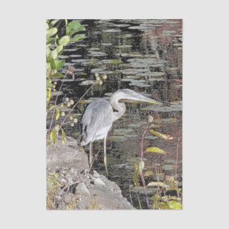 Great Blue Heron Print Tissue Paper