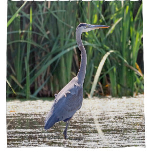Great Blue Heron Shower Curtain