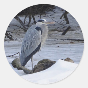 Great Blue Heron Snow Photo Classic Round Sticker