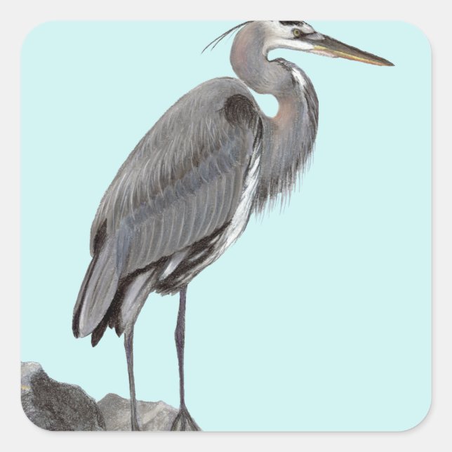 Great Blue Heron Square Sticker (Front)