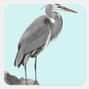 Great Blue Heron Square Sticker