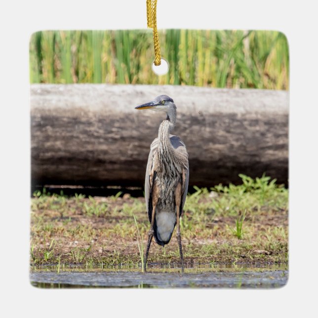 Great Blue Heron standing in Lake Champlain Ceramic Tree Decoration (Front)