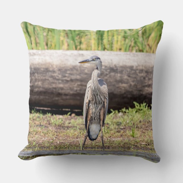 Great Blue Heron standing in Lake Champlain Cushion (Front)