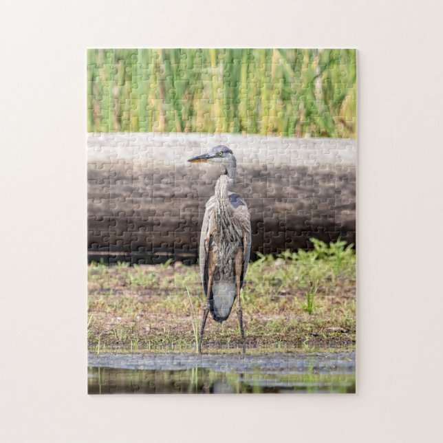 Great Blue Heron standing in Lake Champlain Jigsaw Puzzle (Vertical)
