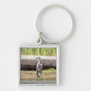 Great Blue Heron standing in Lake Champlain Key Ring