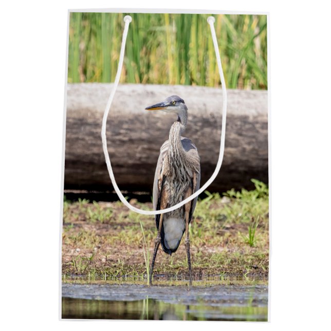 Great Blue Heron standing in Lake Champlain Medium Gift Bag (Back)