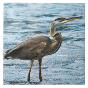 Great Blue Heron Standing in the Water Tile