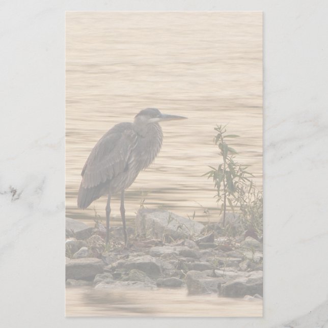 Great Blue Heron Stationery (Front)