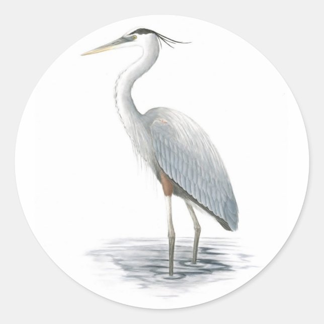 Great Blue Heron Sticker (Front)