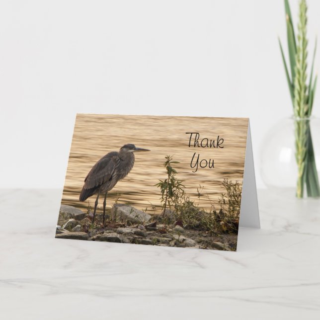 Great Blue Heron Thank You Card (Front)
