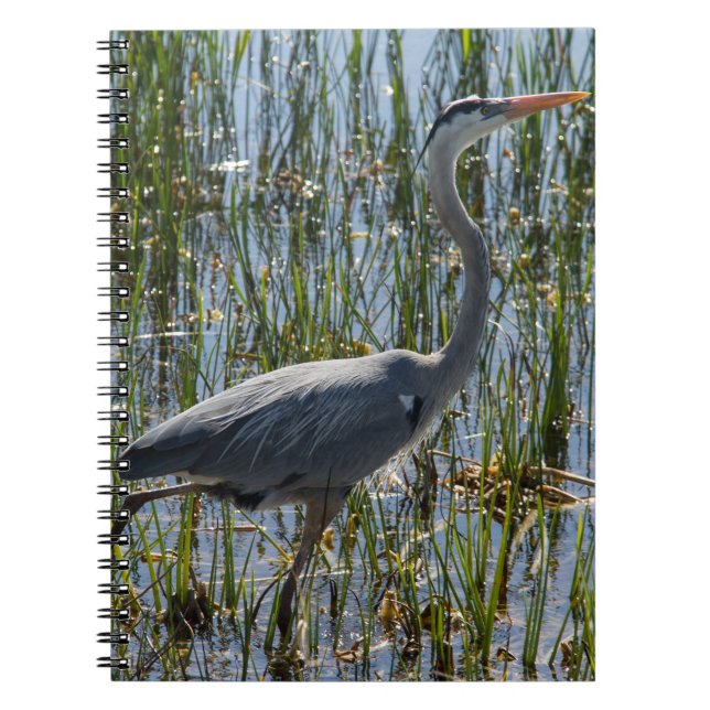 Great Blue Heron Wading Marsh Photo Notebook (Front)