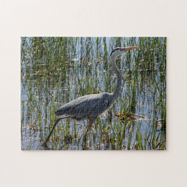 Great Blue Heron Wading Through Marsh Wildlife  Jigsaw Puzzle (Horizontal)