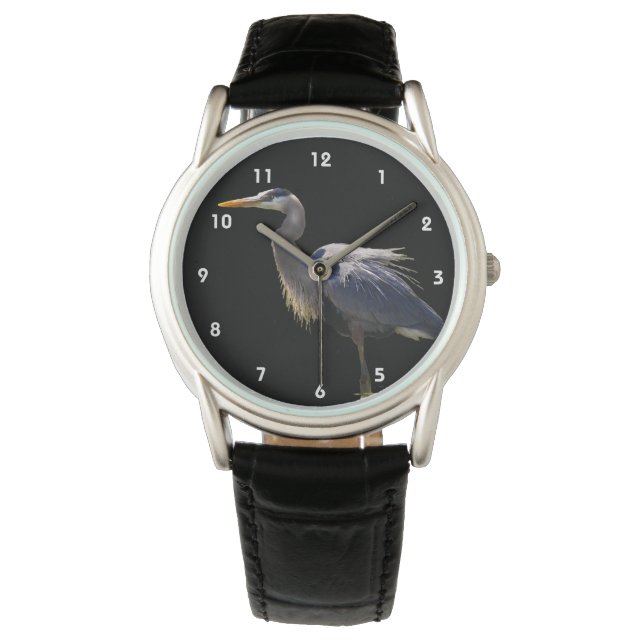 Great Blue Heron Watch (Front)