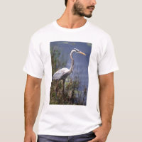 Great Blue Heron water bird