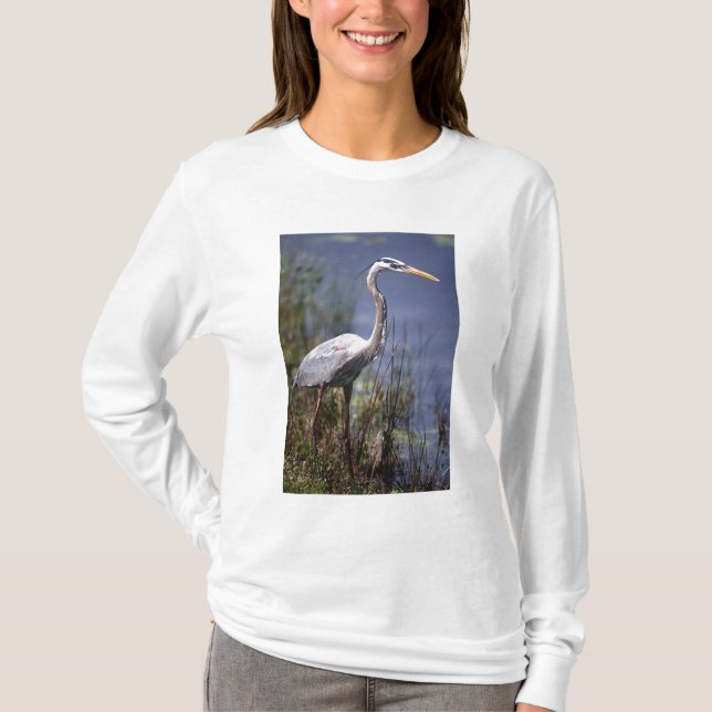 Great Blue Heron water bird T-Shirt (Front)