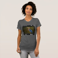 Great Blue Heron Wildlife Film Strip Modern