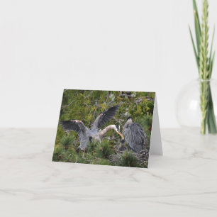 Great Blue Herons and their Baby Card