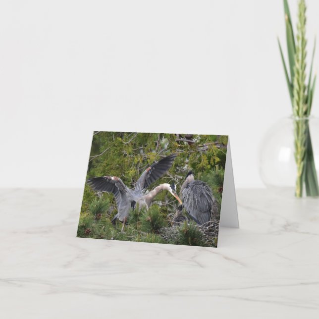 Great Blue Herons and their Baby Card (Front)