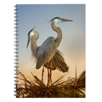 Great Blue Herons at Sunrise Spiral Notebook
