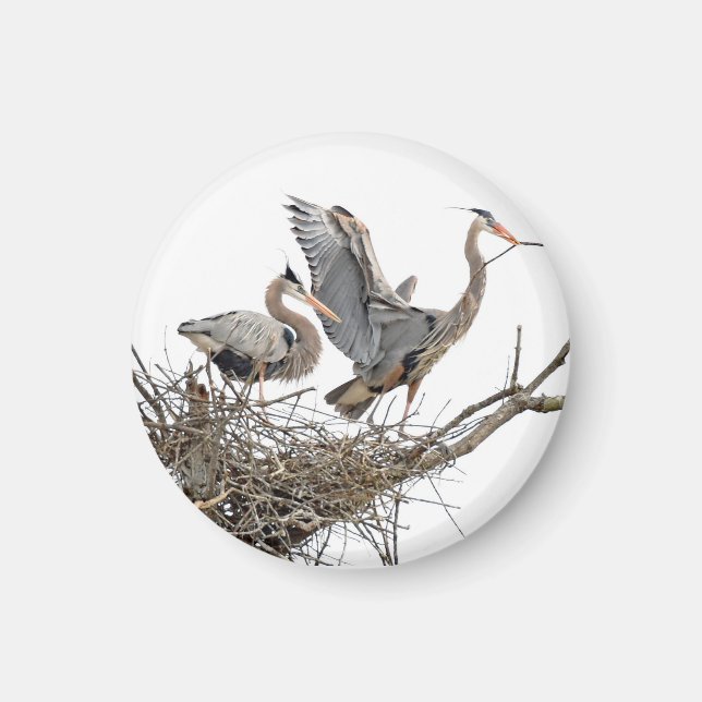 Great Blue Herons Magnet (Front)