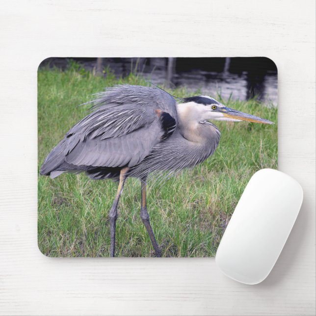 Great Blue Heron's Territory Mouse Pad (With Mouse)