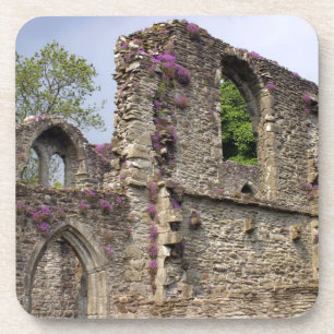 Great Britain, United Kingdom, Scotland. Ruins 2 Coaster