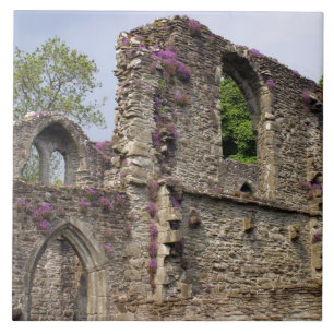 Great Britain, United Kingdom, Scotland. Ruins 2 Tile