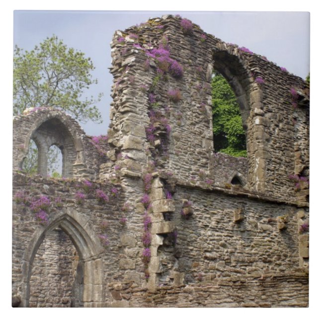 Great Britain, United Kingdom, Scotland. Ruins 2 Tile (Front)