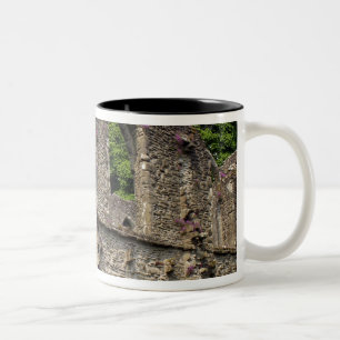 Great Britain, United Kingdom, Scotland. Ruins 2 Two-Tone Coffee Mug