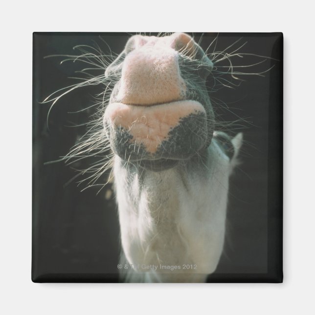 Great Britian Magnet (Front)