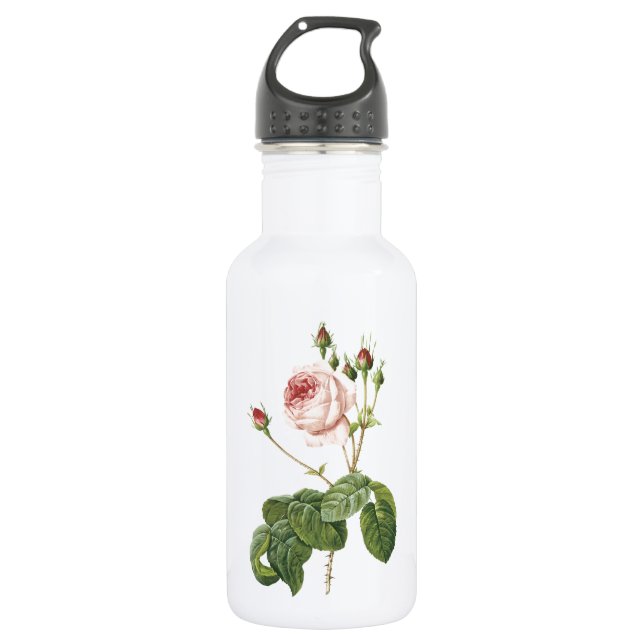 great cabbage-leaved rose by Redouté 532 Ml Water Bottle (Front)