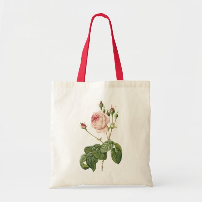 great cabbage-leaved rose by Redouté Tote Bag (Front)