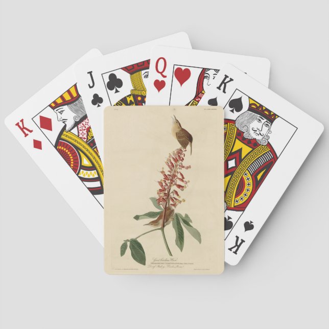 Great Carolina Wren - Audubon's Birds of America Playing Cards (Back)
