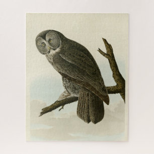 Great Cinereous Owl from Audubon Birds of America Jigsaw Puzzle