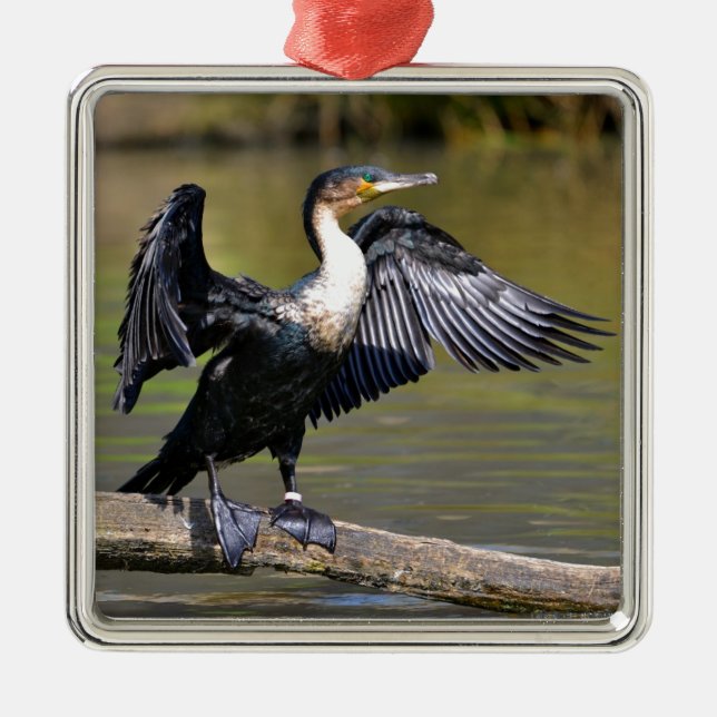 Great Cormorant with opened wings Metal Tree Decoration (Front)