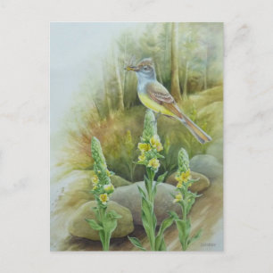 Great Crested Flycatcher Bird Watercolor Art Postcard